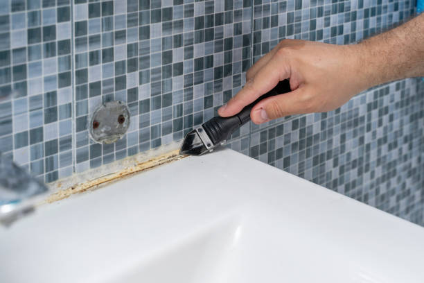 Best DIY Mold Remediation Support Services in Fruitland, MD