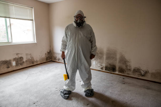 Best Bathroom Mold Remediation in Fruitland, MD
